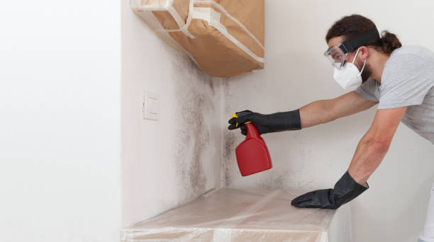 Professional Crawl Space Mold Remediation technician working in Jacksonville, NC