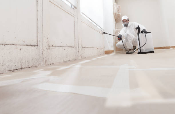 24/7 Emergency Crawl Space Mold Remediation experts in Jacksonville, NC